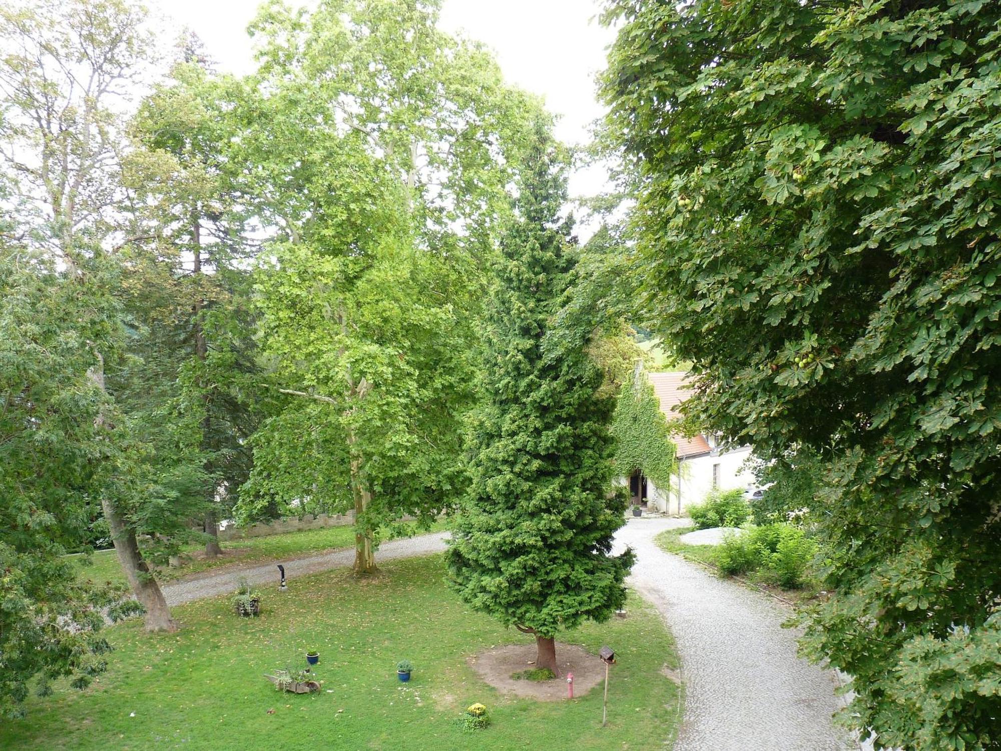 Hotel & Restaurant Schloss Weissenburg Uhlstädt Quarto foto
